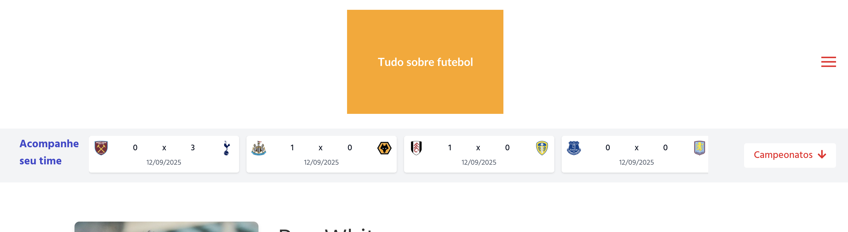 Exemplo de widget integrado no site